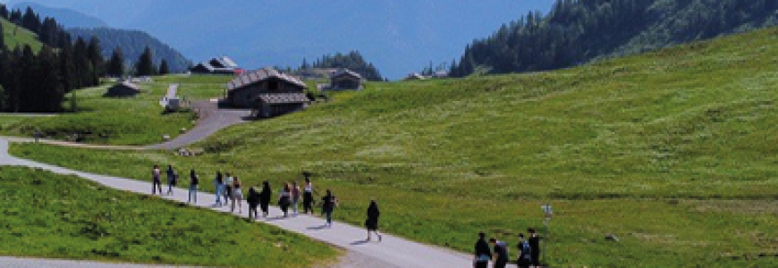 sporttage