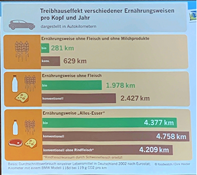 Vortrag: Regenwald in Flammen